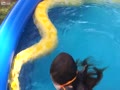 大蛇と女の子のプール遊び